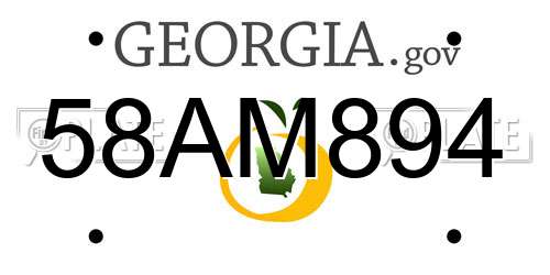 58AM894 Georgia License Plate
