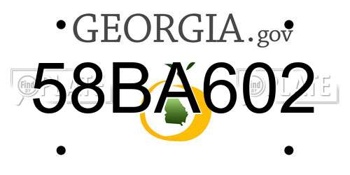 58BA602 Georgia License Plate