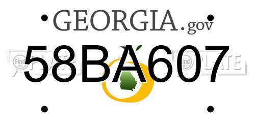 58BA607 Georgia License Plate