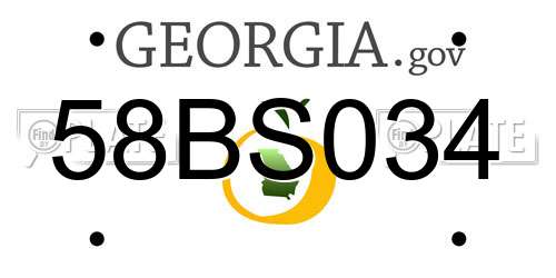 58BS034 Georgia License Plate