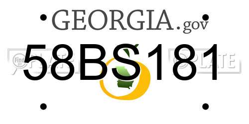 58BS181 Georgia License Plate