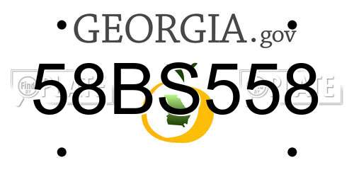 58BS558 Georgia License Plate