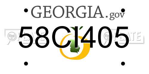 58CI405 Georgia License Plate