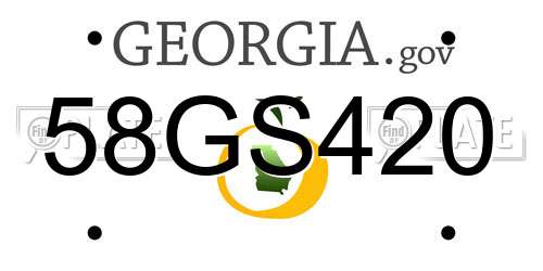 58GS420 Georgia License Plate