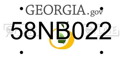 58NB022 Georgia License Plate
