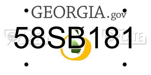 58SB181 Georgia License Plate