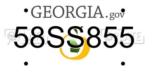 58SS855 Georgia License Plate