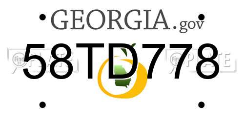 58TD778 Georgia License Plate
