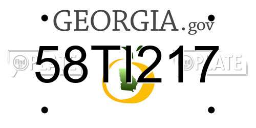 58TI217 Georgia License Plate