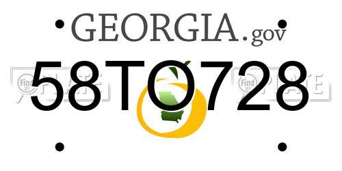 58TO728 Georgia License Plate