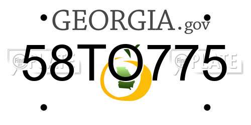 58TO775 Georgia License Plate