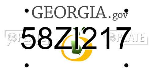 58ZI217 Georgia License Plate