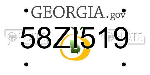 58ZI519 Georgia License Plate