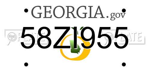 58ZI955 Georgia License Plate