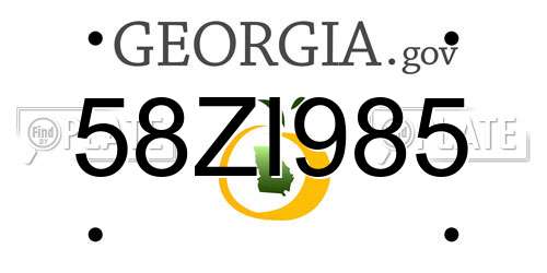 58ZI985 Georgia License Plate