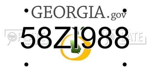 58ZI988 Georgia License Plate