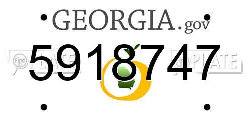 5918747 Georgia License Plate