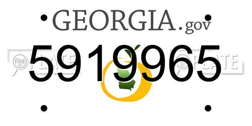 5919965 Georgia License Plate