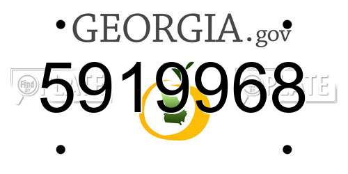 5919968 Georgia License Plate