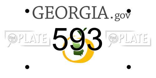 593 Georgia License Plate