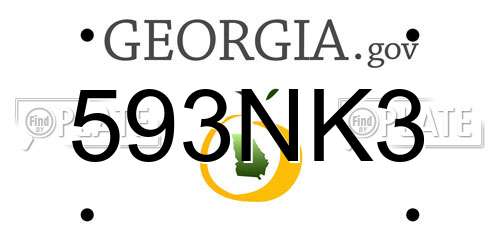 593NK3 Georgia License Plate
