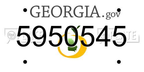 5950545 Georgia License Plate