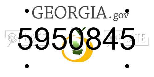 5950845 Georgia License Plate