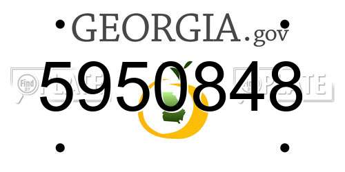 5950848 Georgia License Plate