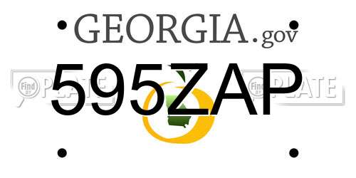 595ZAP Georgia License Plate