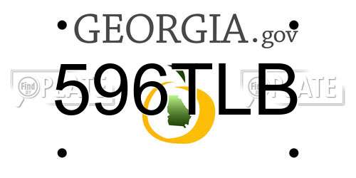 596TLB Georgia License Plate