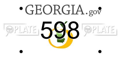 598 Georgia License Plate