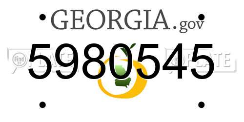 5980545 Georgia License Plate