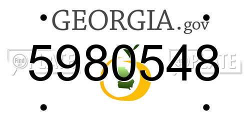 5980548 Georgia License Plate