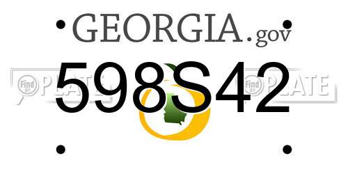 598S42 Georgia License Plate