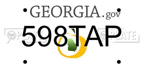 598TAP Georgia License Plate