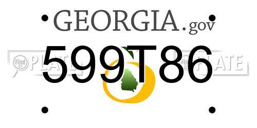 599T86 Georgia License Plate