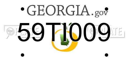 59TI009 Georgia License Plate