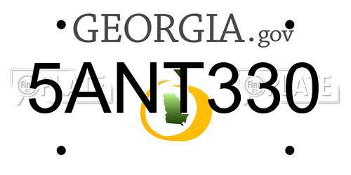5ANT330 Georgia License Plate