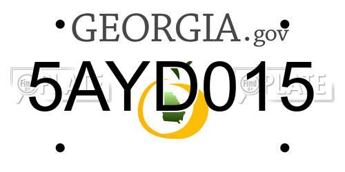 5AYD015 Georgia License Plate
