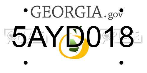 5AYD018 Georgia License Plate