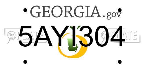 5AYI304 Georgia License Plate