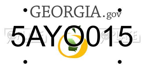 5AYO015 Georgia License Plate