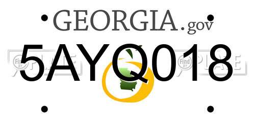 5AYQ018 Georgia License Plate