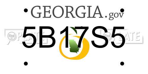 5B17S5 Georgia License Plate