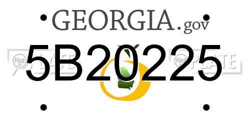 5B20225 Georgia License Plate