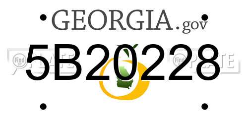 5B20228 Georgia License Plate
