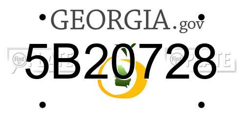 5B20728 Georgia License Plate