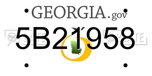 5B21958 Georgia License Plate
