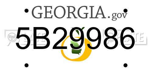 5B29986 Georgia License Plate