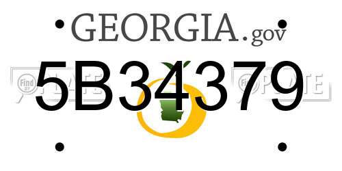 5B34379 Georgia License Plate